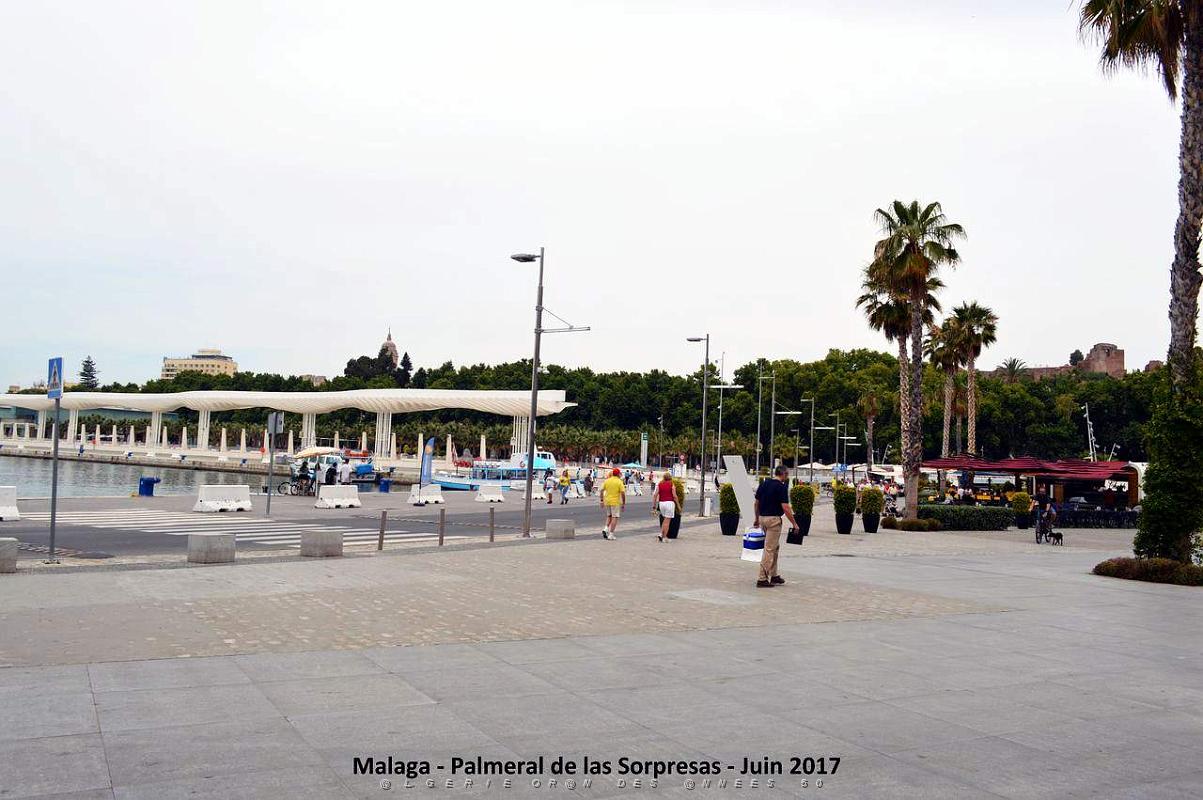140- Malaga Palmeral Sorpresas.JPG